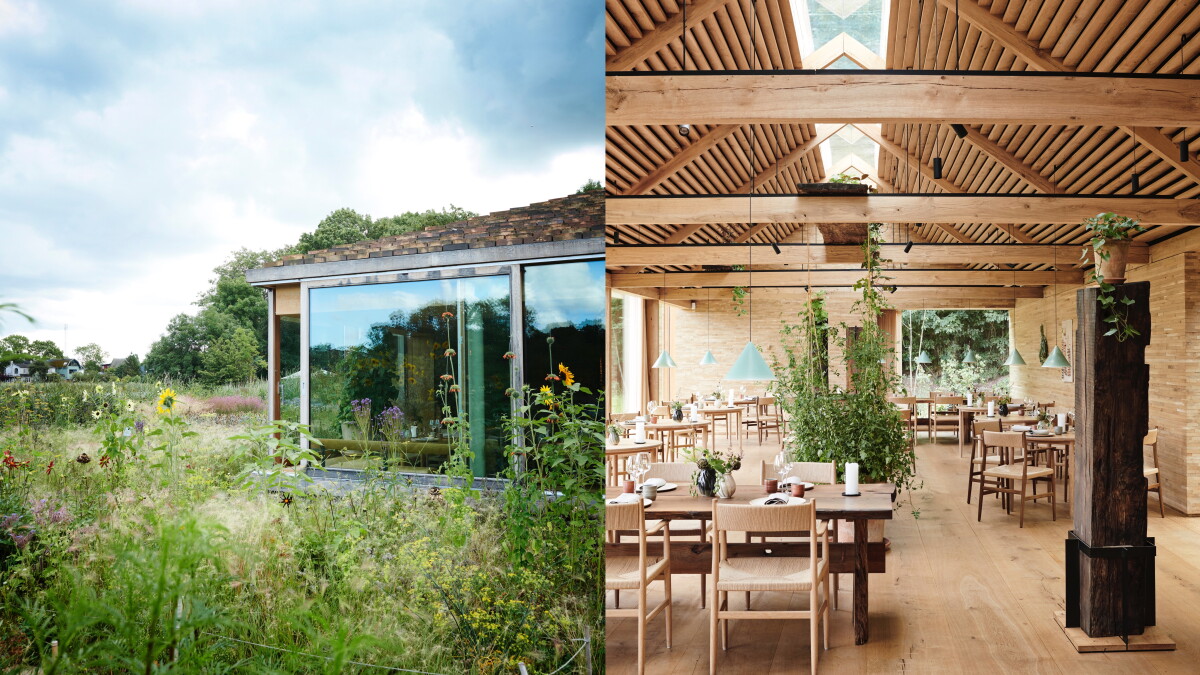 Noma Will Close in 2024—Here's What It Plans to Do Next - AFAR Noma Will Close in 2024—Here's What It Plans to Do Next - AFAR